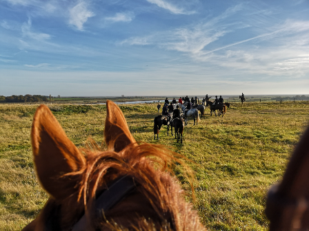 Suffolk Cross Country Ride